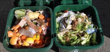 Caddies-of-food-waste
